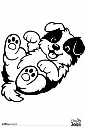 Border collie puppy rolling on its back