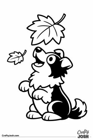 Border collie reaching up to catch a falling leaf