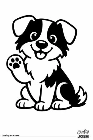 Border collie sitting and offering a paw