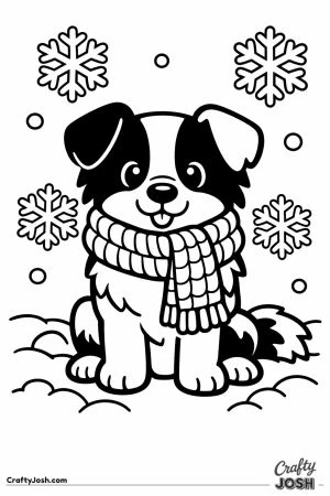 Border collie sitting in the snow with a scarf