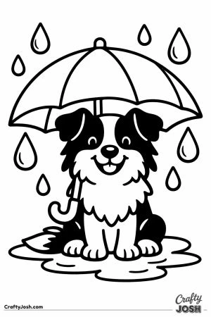 Border collie sitting under an umbrella in the rain