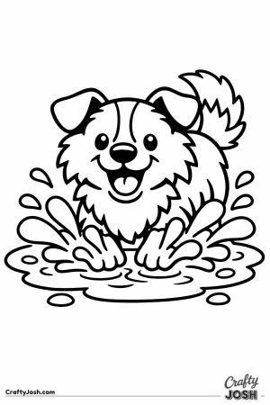 Border collie splashing in a puddle