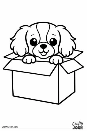 Cavalier peeking out of a cardboard box