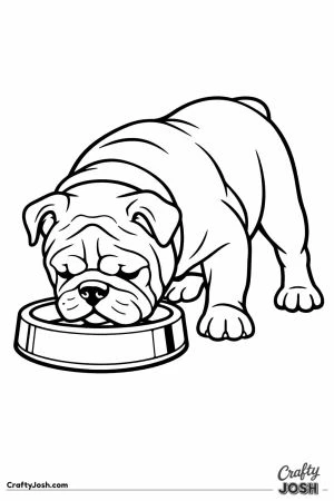 English bulldog lowering its head to a food bowl