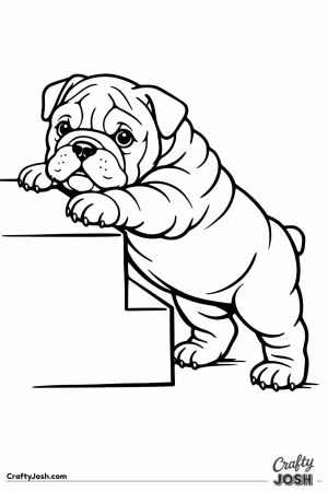 English bulldog puppy climbing up over a low step