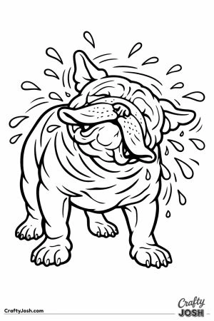 English bulldog shaking the water off its coat