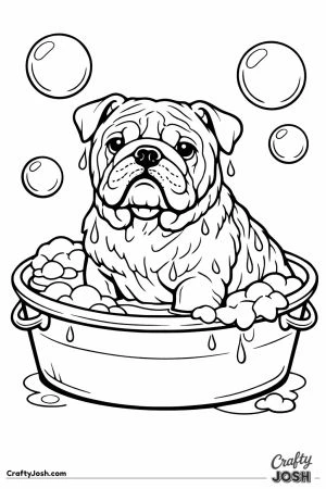 English bulldog sitting in a tub having a bath