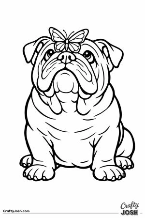 English bulldog with a butterfly resting on its nose