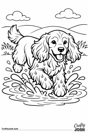 English cocker spaniel bounding through a shallow puddle