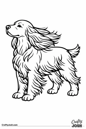 English cocker spaniel facing into the wind with ears blown back