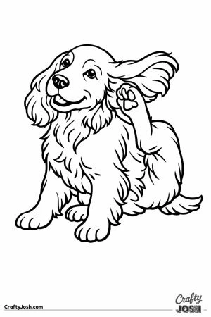 English cocker spaniel scratching behind one ear