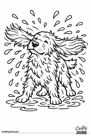 English cocker spaniel shaking water with its ears flying out