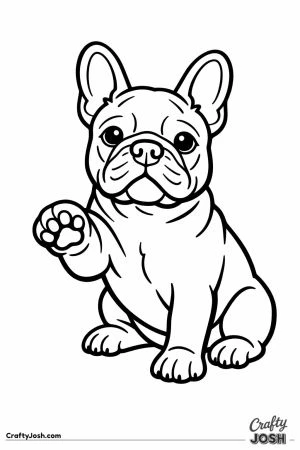 French bulldog lifting one paw to shake hands