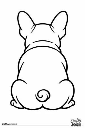 French bulldog seen from behind with both bat ears upright