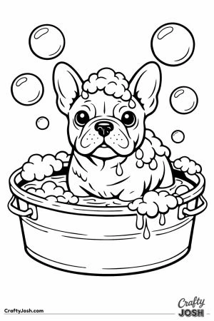 French bulldog standing in a tub having a bath