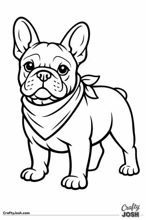 French bulldog wearing a folded bandana