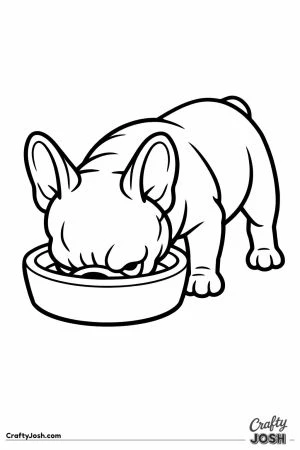 French bulldog with its head lowered into a food bowl