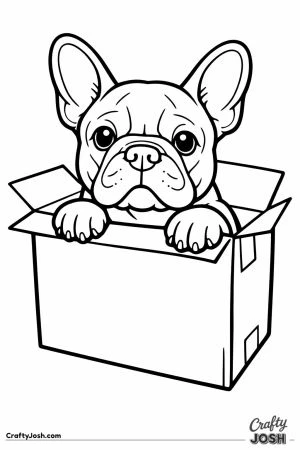 French bulldog with its paws over the edge of a box