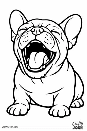 French bulldog yawning with its head tipped back