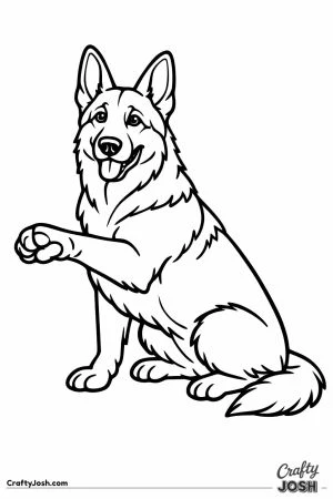 German shepherd lifting one paw to shake hands