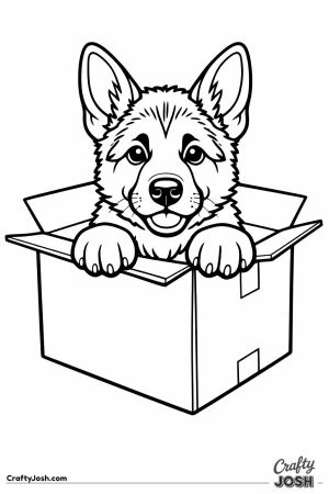 German shepherd puppy with its paws over the edge of a box