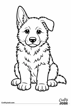 German shepherd puppy with one ear up and one flopped over