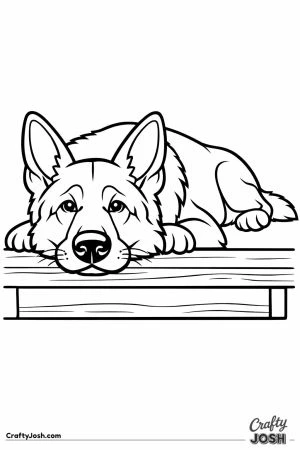 German shepherd resting its chin on a low step