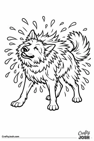 German shepherd shaking water from its thick coat