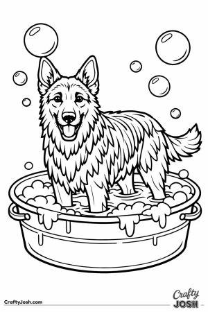 German shepherd standing in a tub having a bath