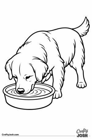 Golden retriever drinking from a wide water bowl