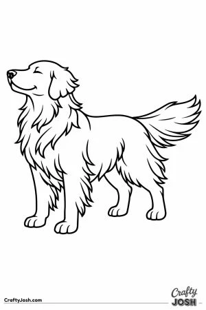Golden retriever facing into the wind with its feathering blown back