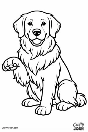 Golden retriever lifting one paw to shake hands