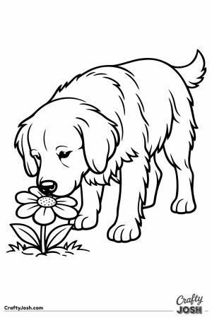 Golden retriever lowering its muzzle to sniff a flower