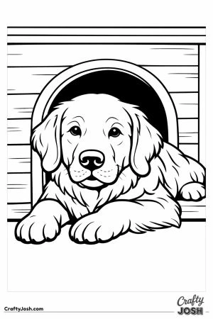 Golden retriever lying in a kennel with its head out