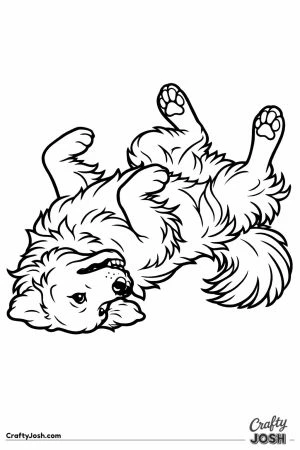 Golden retriever rolling onto its back with legs in the air