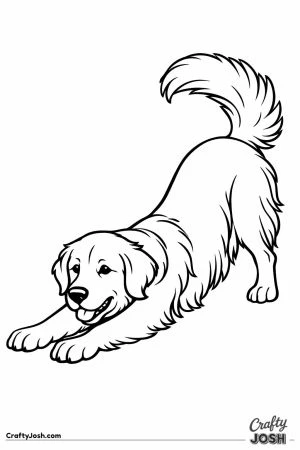 Golden retriever stretching with its chest to the ground