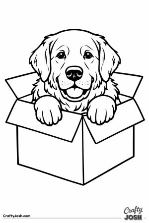 Golden retriever with its paws over the edge of a box