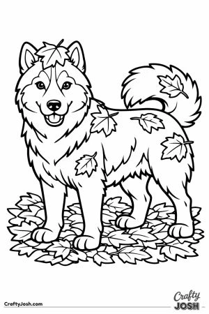 Husky covered in leaves after rolling in the pile