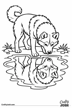 Husky staring down at its own reflection in a puddle