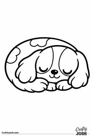 Kawaii cavalier curled up fast asleep