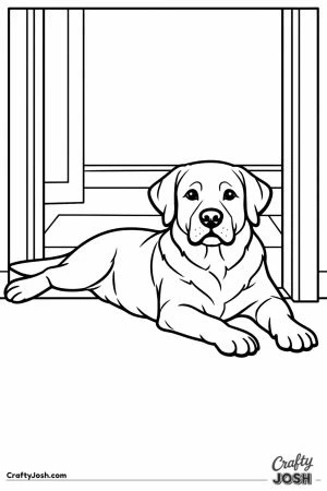 Labrador lying right across the doorway blocking it
