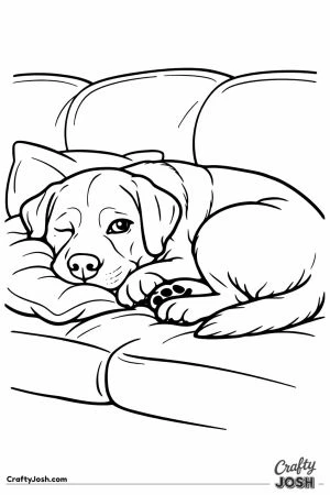 Labrador pretending to be asleep with one eye open