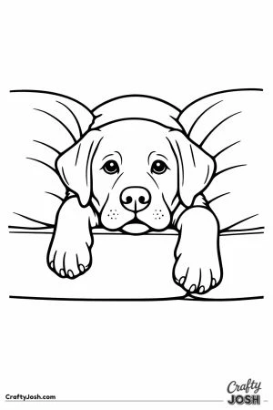 Labrador wedged down between the sofa cushions