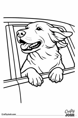Labrador with its head out the car window and ears flying