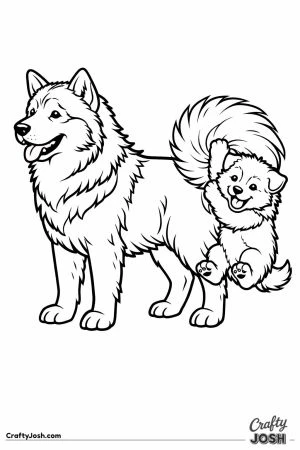 Malamute puppy swinging from the adults plumed tail