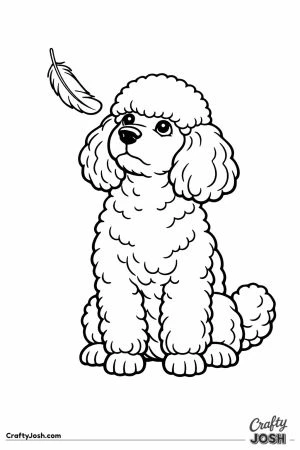 Miniature poodle holding still while a feather drifts past its nose