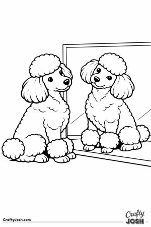 Miniature poodle inspecting its new haircut in the mirror