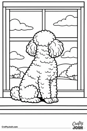 Miniature poodle sitting up on the window ledge