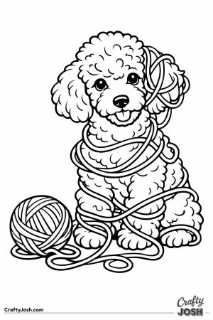 Miniature poodle tangled up in loops of wool