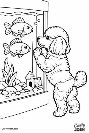 Miniature poodle watching the fish through the tank glass